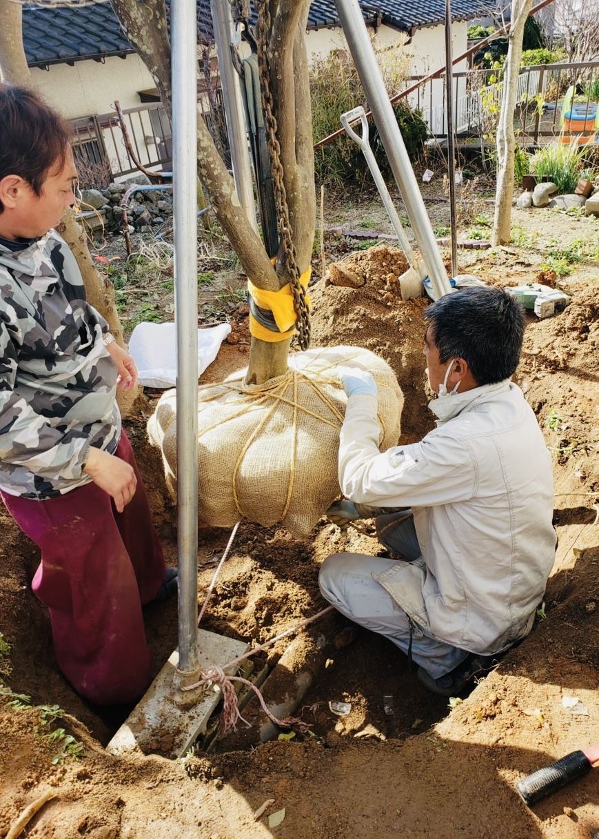 福岡 伐根 施工事例 2