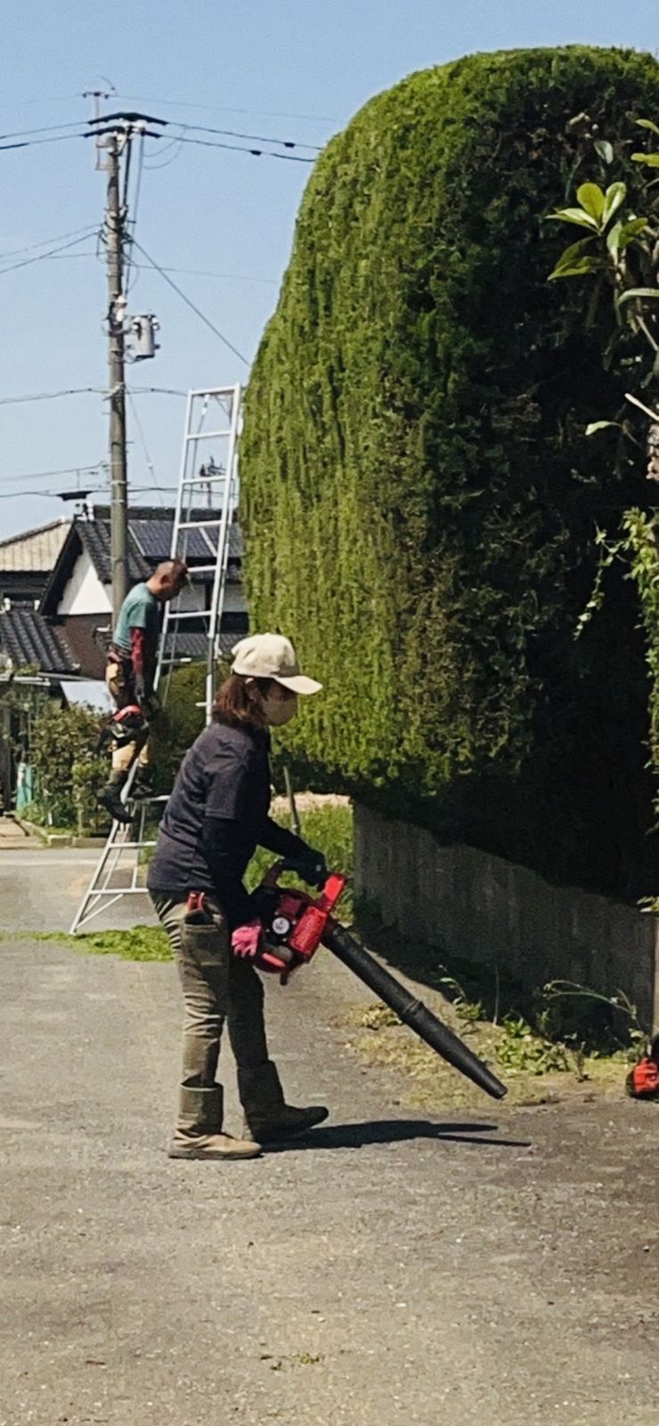 福岡 庭木剪定 施工事例 9