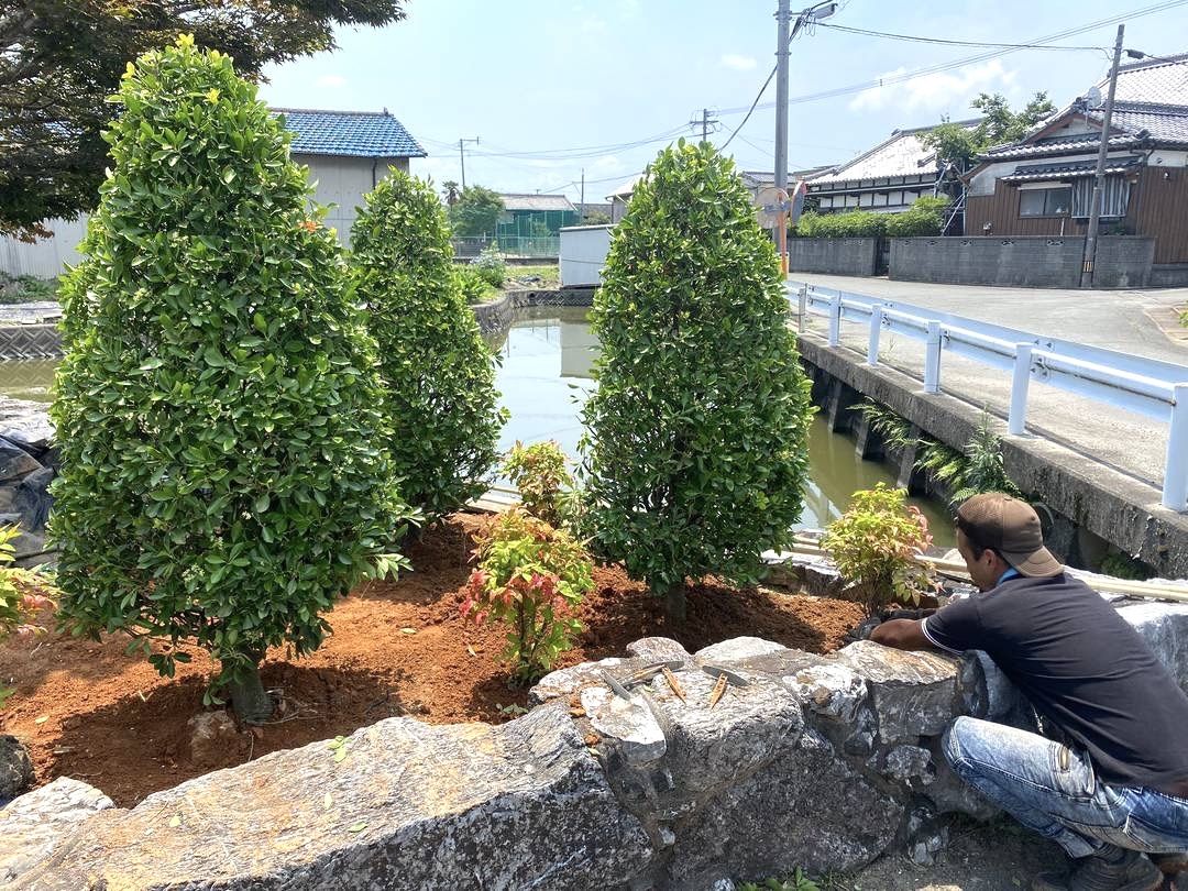 福岡 植栽 施工後