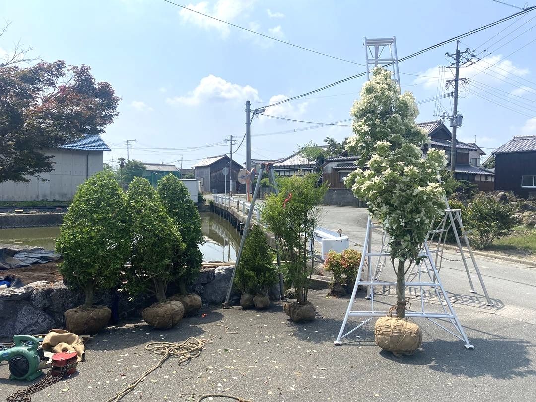 福岡 植栽 施工前