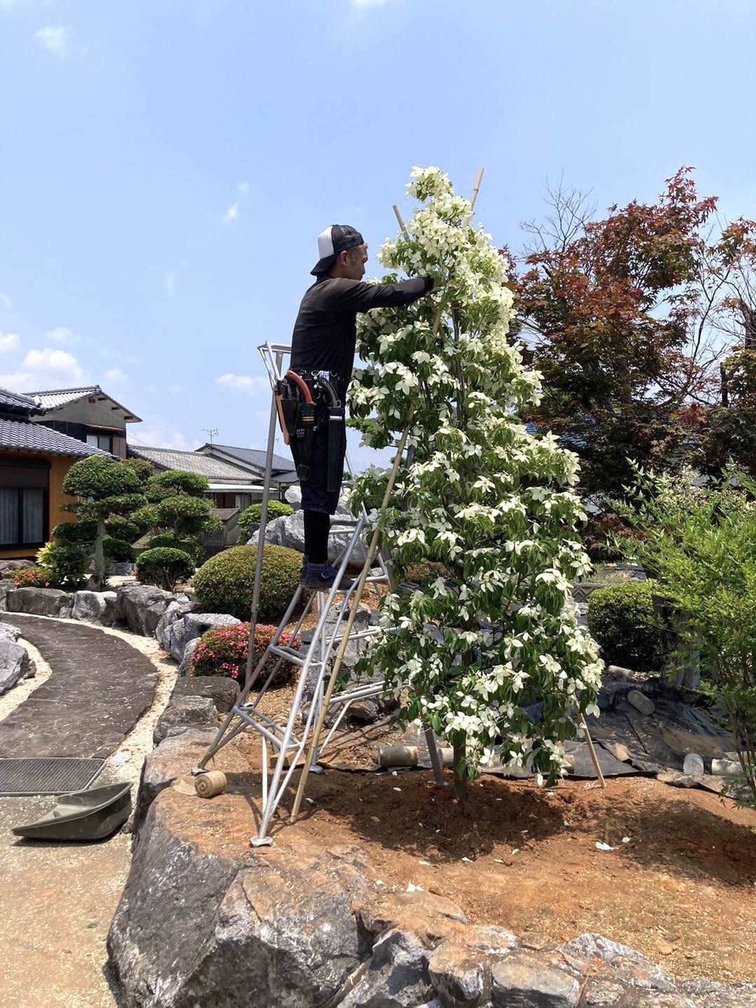 福岡 植栽 その他施工写真